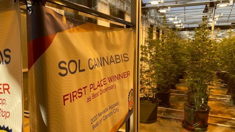 Sol Reno Nevada Nevada approves conditional license for Sol Cannabis lounge