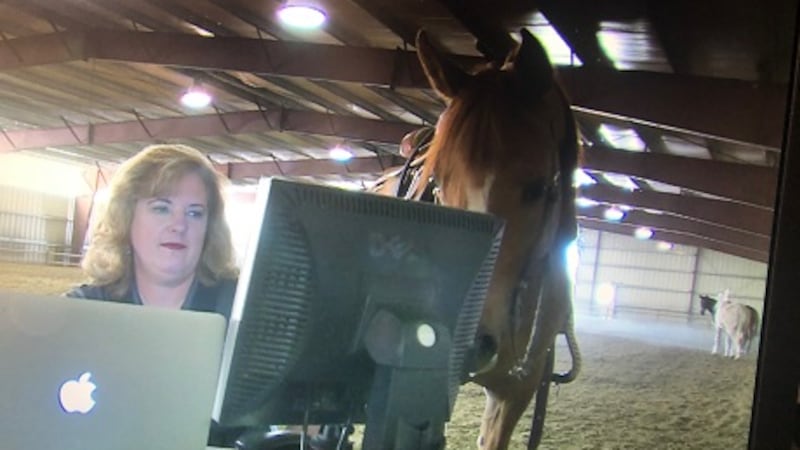 Virtual Riding Tv Virtual riding lessons offered during COVID-19 pandemic