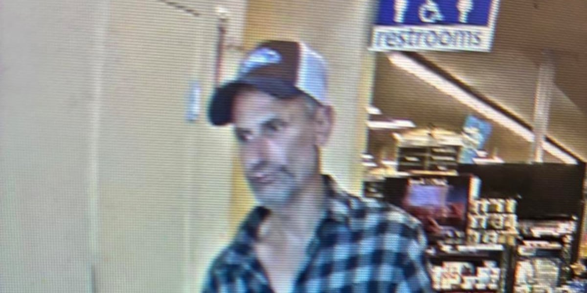 DCSO asks for help finding person of interest in home break in