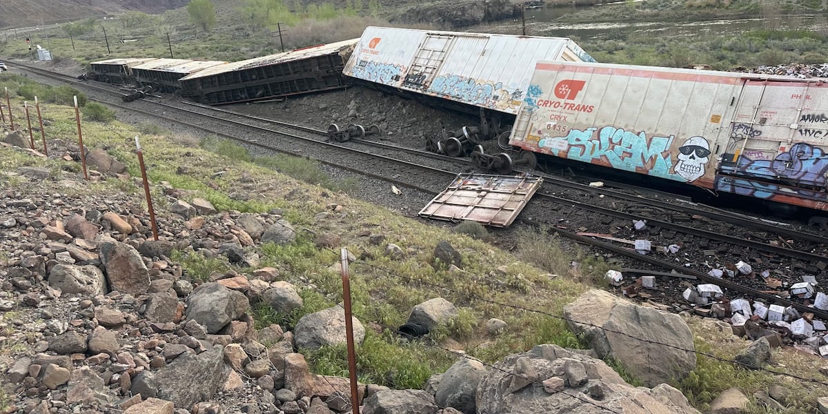 2964 Train No injuries reported after train derails near USA Parkway