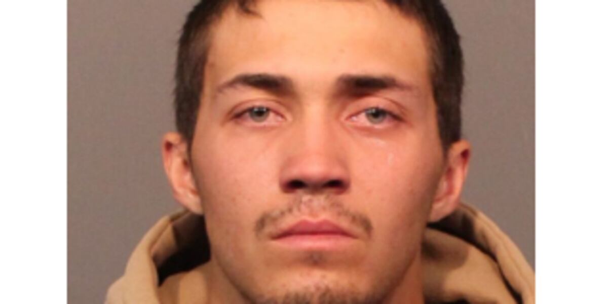 Sean Maisel Reno Reno man sentenced to 40 years for sexually assaulting 2 women