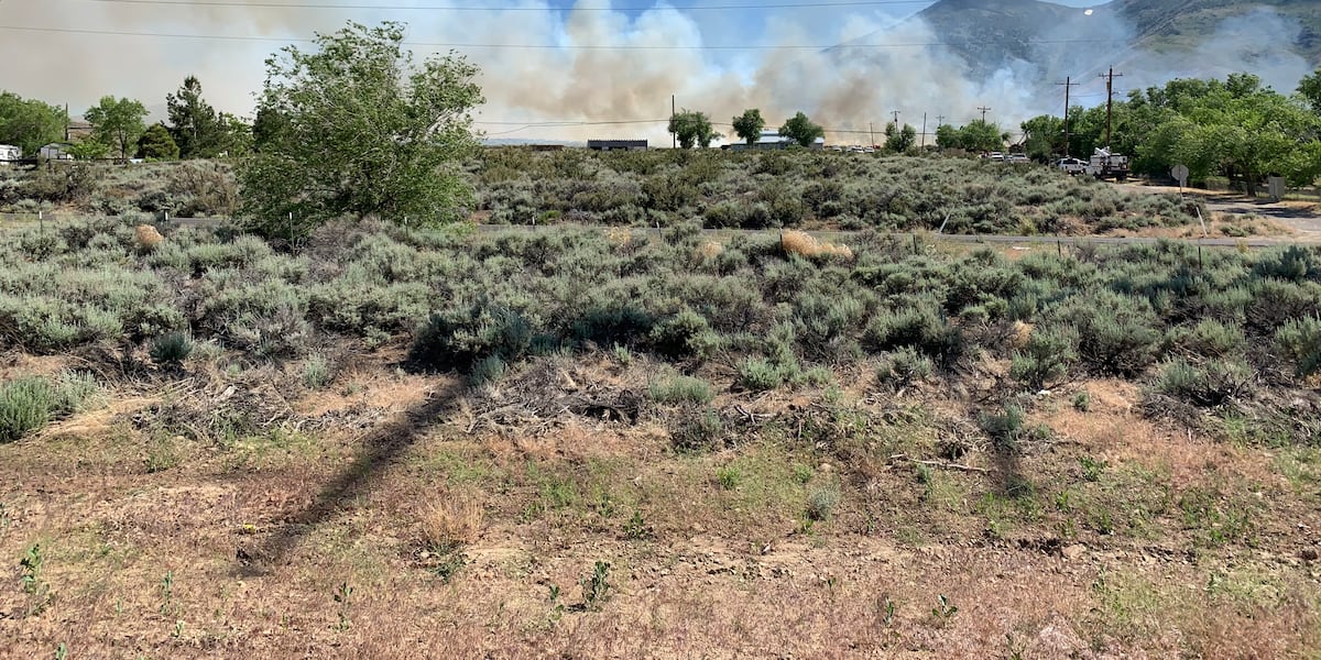 Trail Ridge Fire Trail Fire 100% contained