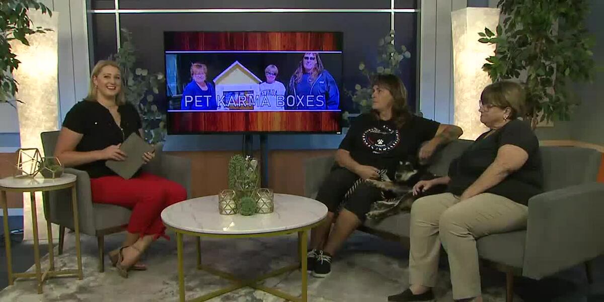 Animal advocacy non-profit, Res-Que, brings pet karma boxes to Reno and ...