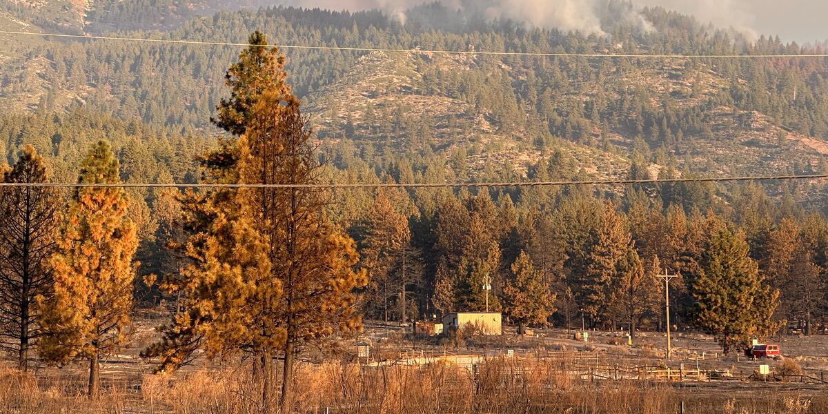 Months later, investigators still have no definitive answers on Davis ...