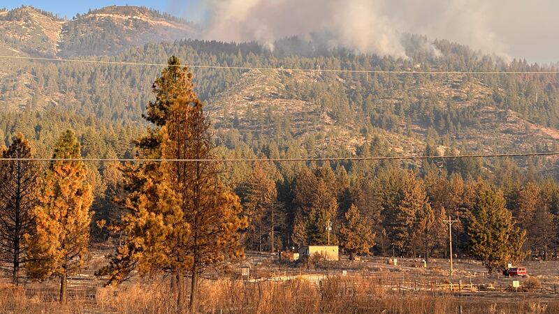 Months later, investigators still have no definitive answers on Davis ...