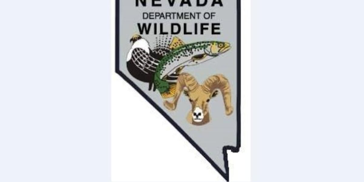 NDOW stocking Sparks Marina with 3 000 brown trout NDOW stocking Sparks Marina with 3 000 brown trout