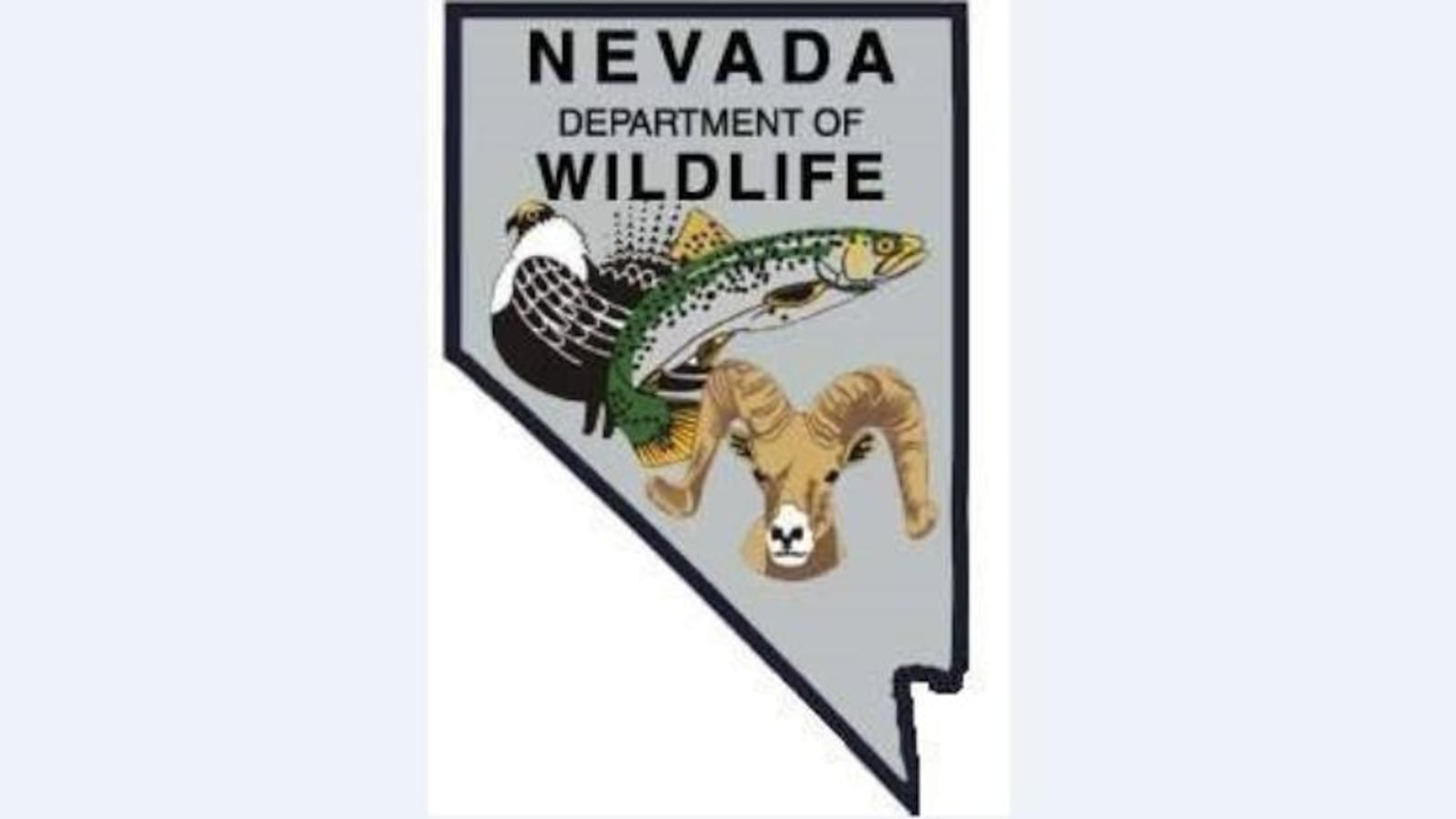NDOW stocking Sparks Marina with 3 000 brown trout NDOW stocking Sparks Marina with 3 000 brown trout