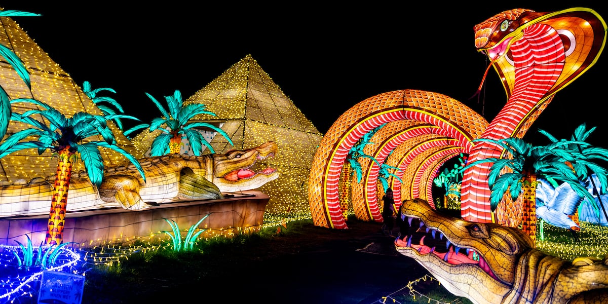 Dragon Lights tickets go on sale this Friday