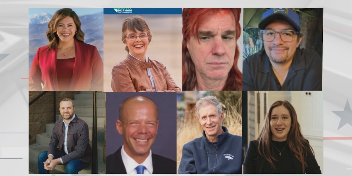 Democrats jockey for open northern Nevada congressional seat after Amodei retirement