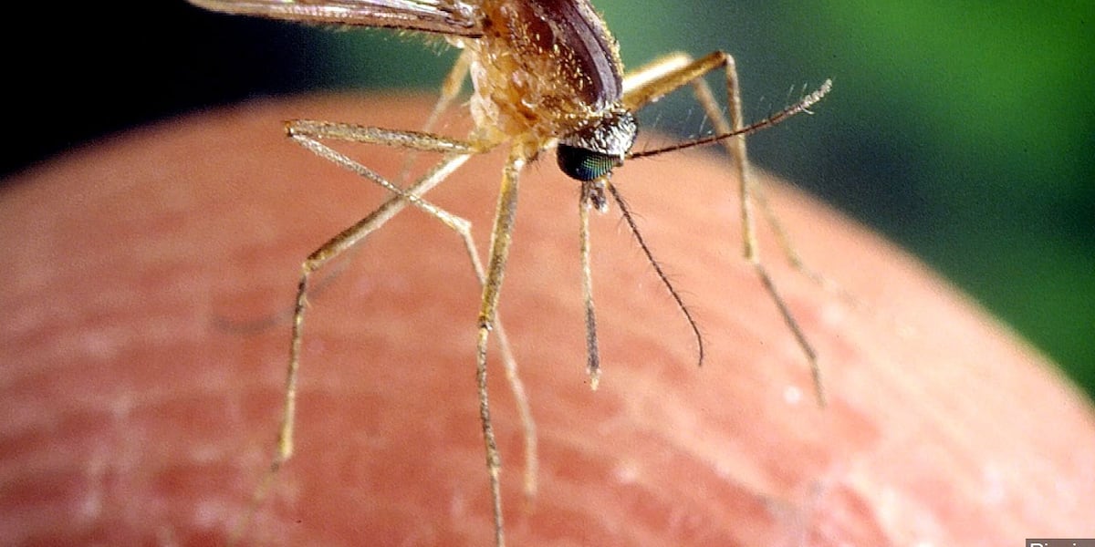 Health officials conducting mosquito treatments this Wednesday