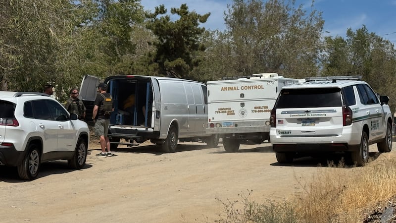 A high-risk search warrant was executed in Sun Valley.