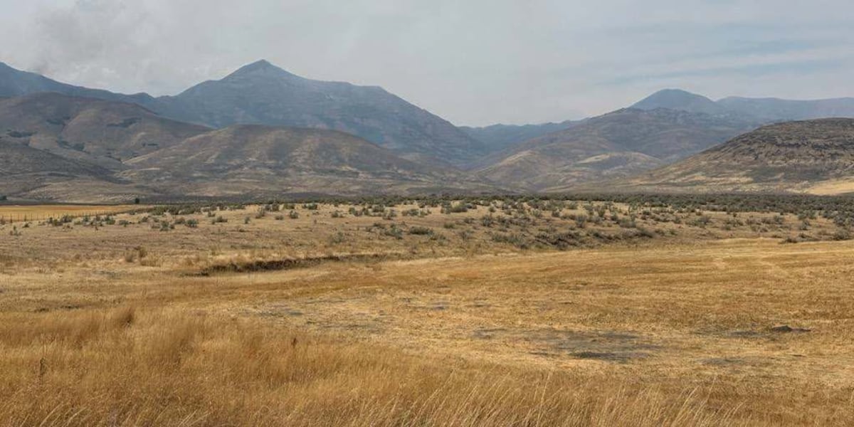 Containment on McConnell Fire increases to 46%