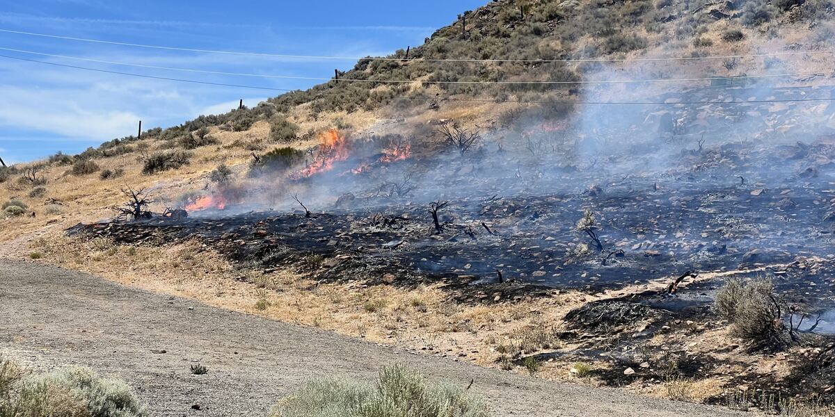 Bug Fire Reno Crews investigating brush fire in south Reno