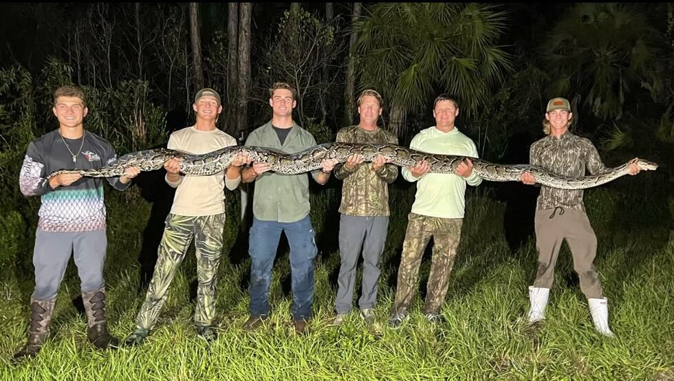 Python 5 Inch Caught on camera: 18-year-old wrangles massive python