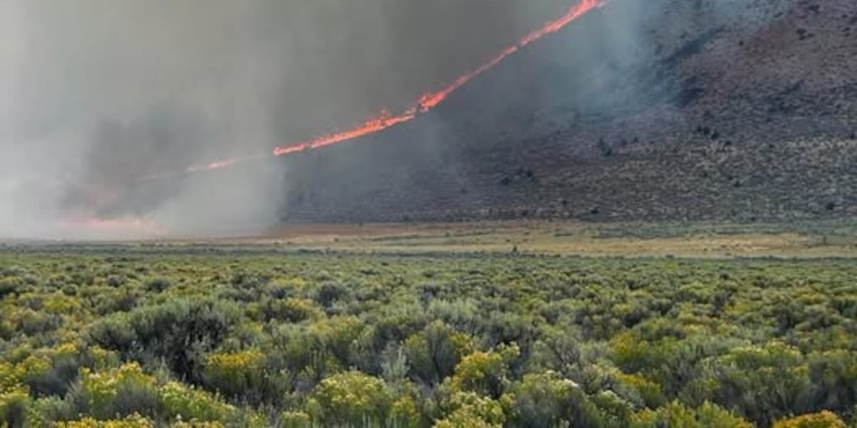 S1 Vya Fire now 64% contained
