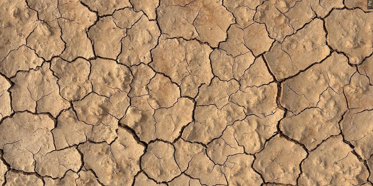 USDA designates Eureka, Lander counties as natural disaster areas due to drought