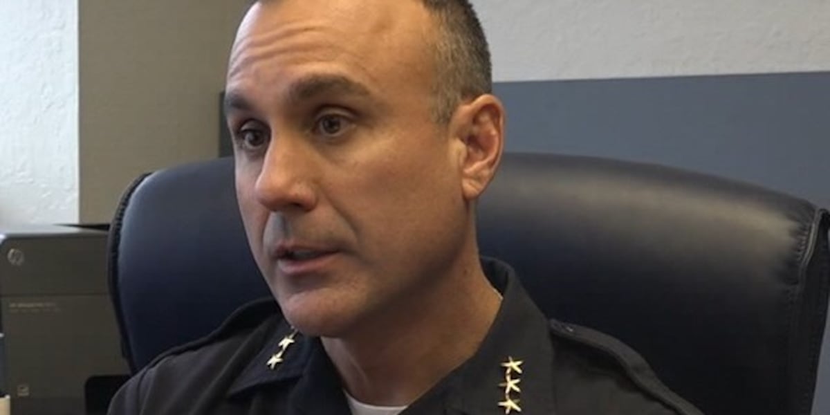 Chip Gray Rpd Court documents unveil new details on arrest of former RPD Deputy Chief