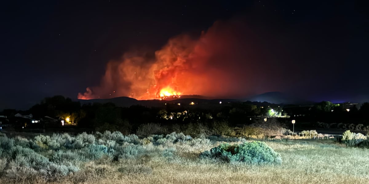 Bug Fire Reno Reno officials invite public to hear 2026 wildfire protection plans