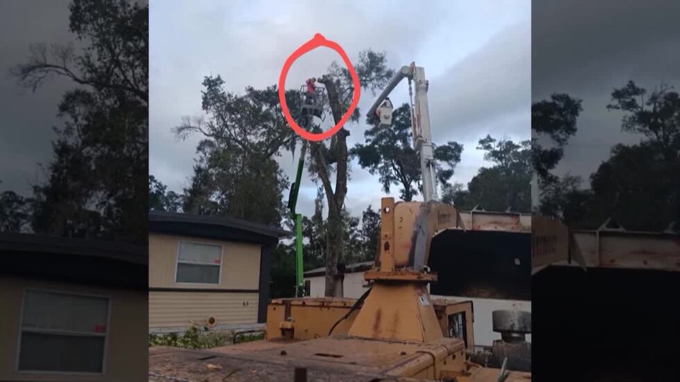 Them things just kept coming': Florida man survives bee attack, 30