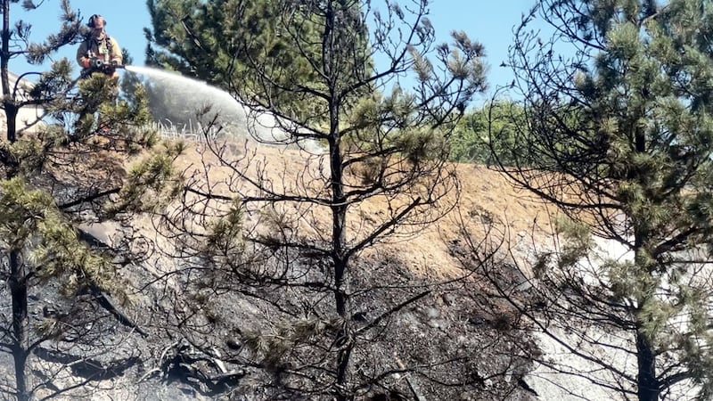 Wind quickly spreads northwest Reno fire