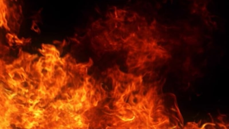 “Shadow Riders” art exhibition joins the National Cowboy Poetry ...