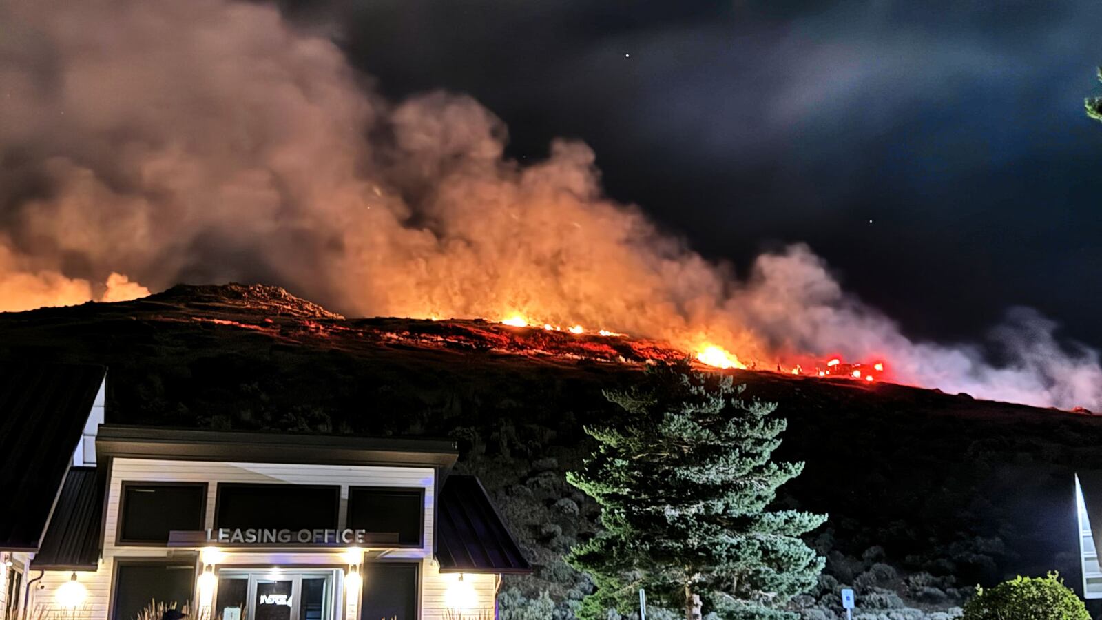 Bug Fire Reno South Reno fire possibly caused by fireworks, officials say
