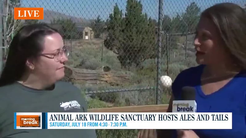 Ark R Animal Ark closed, but safe, from fires