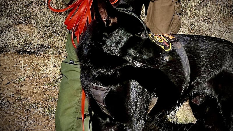 A Nevada County Sheriff's Search and Rescue K9 found a dementia walkaway patient.