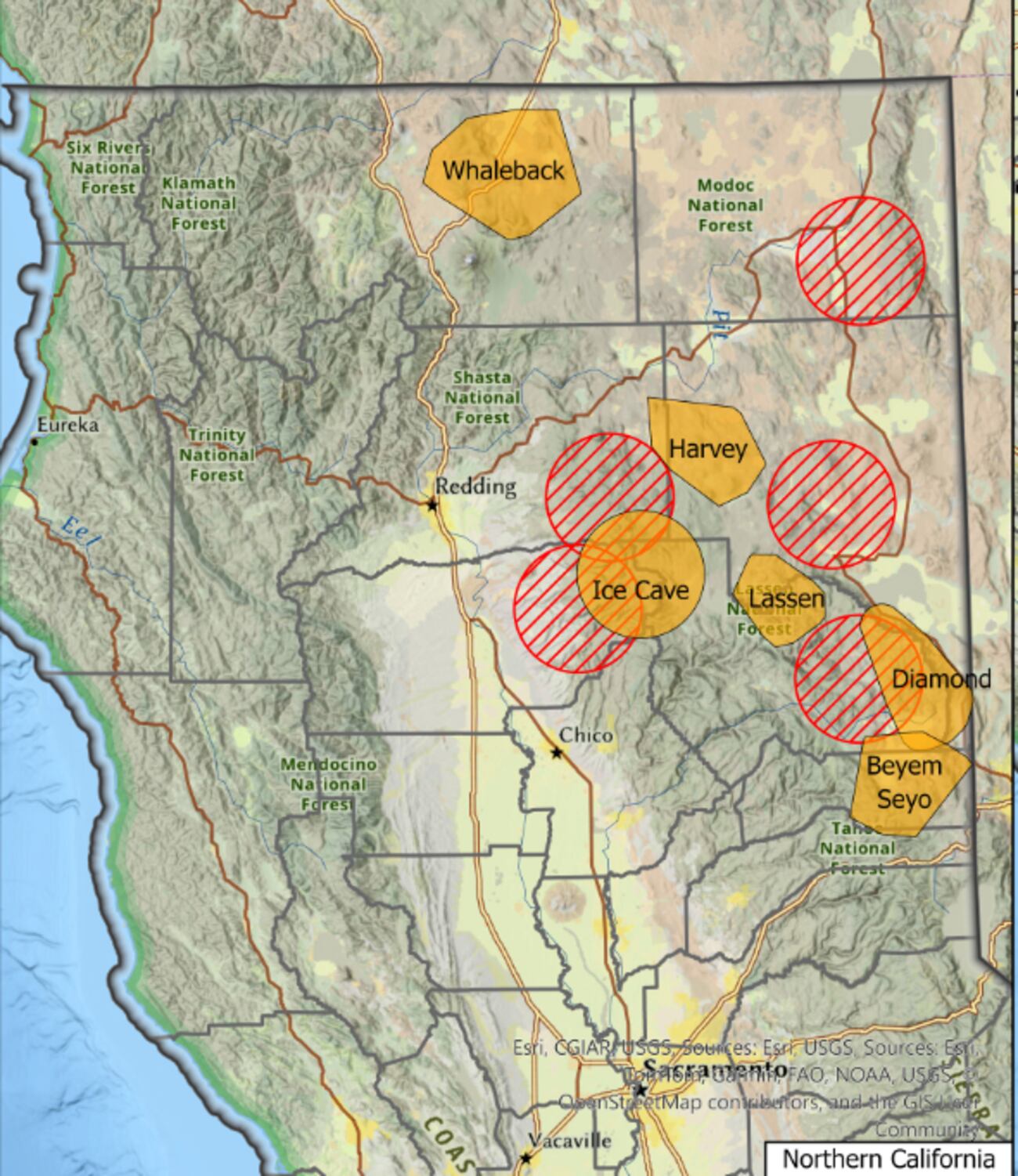 Wolves Ca Updated California wolf sightings