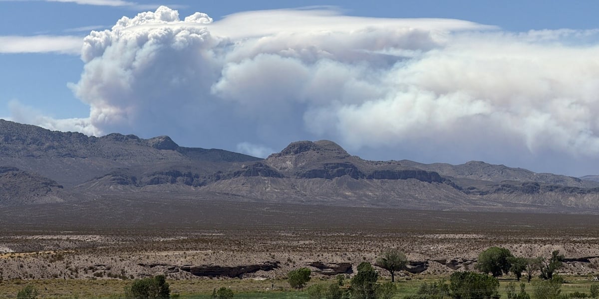Mouse Meadow, Quail Springs Fire continue to burn on Nevada National Security Site
