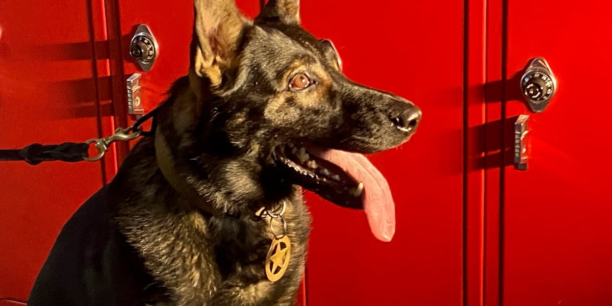 Carson Gun “Camper,” Carson’s gun-sniffing dog