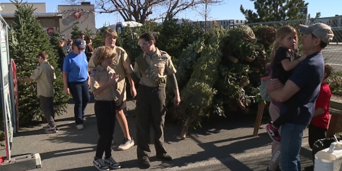 里诺童子军延续了数十年的节日树传统