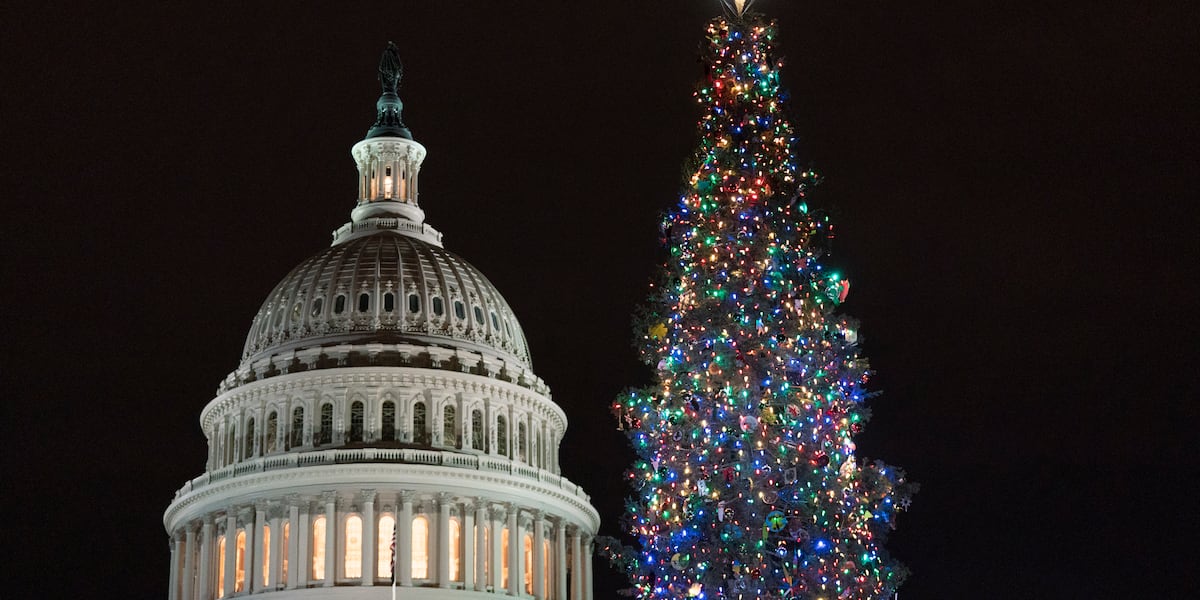 Architect of the Capitol visits Reno to select 2025 U.S. Capitol Christmas Tree