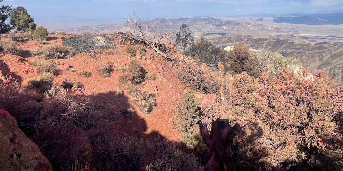Blue Eagle Fire jumps to 72% containment