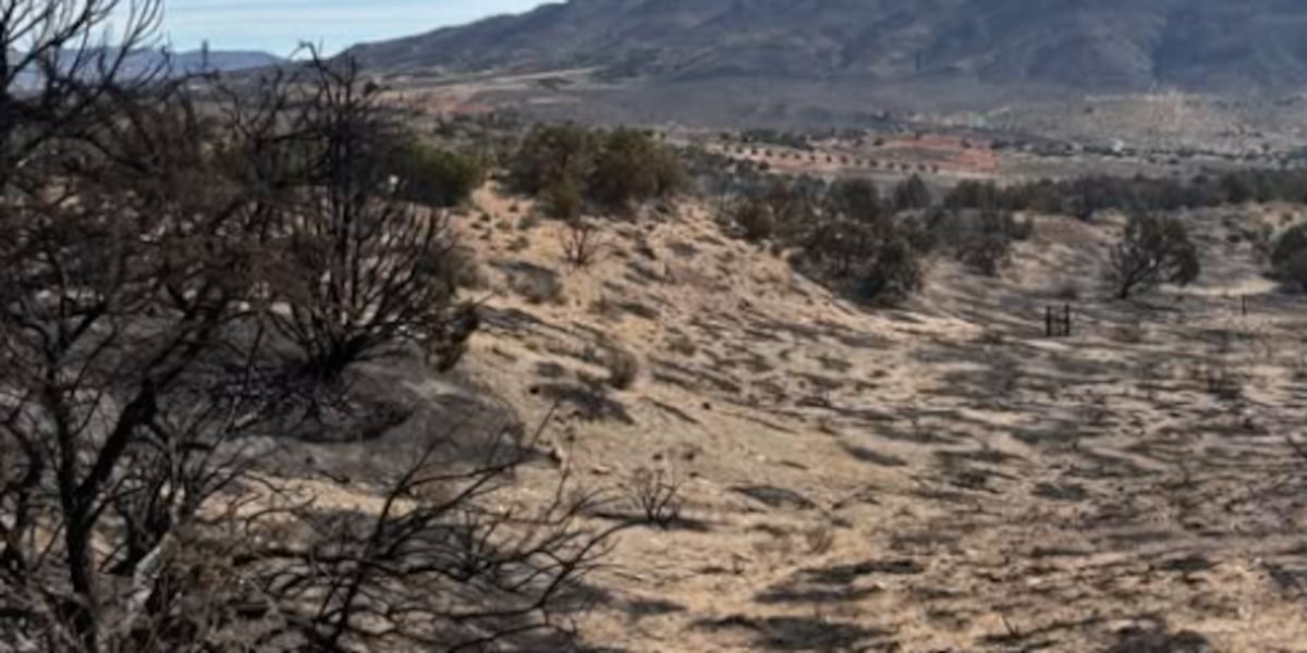 Courage House Nevada saved from Bug Fire just 6 months after opening
