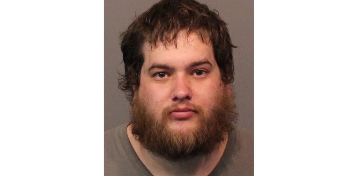 Reno man given life in prison for lewdness with a child; attempted ...