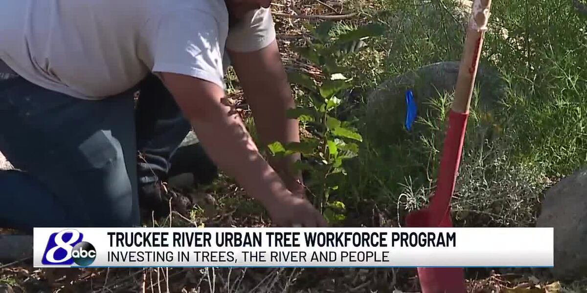 Tree Workforce Development Truckee River Urban Tree Workforce Program