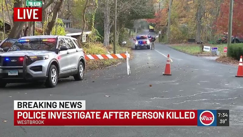 State police said they responded to a disturbance on East Pond Meadow Road on Wednesday around...