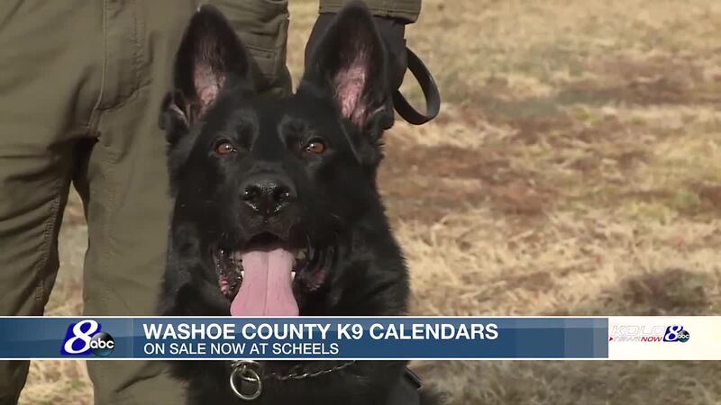 K9 Jett featured in the 2025 K9 Calendar on sale at Scheels